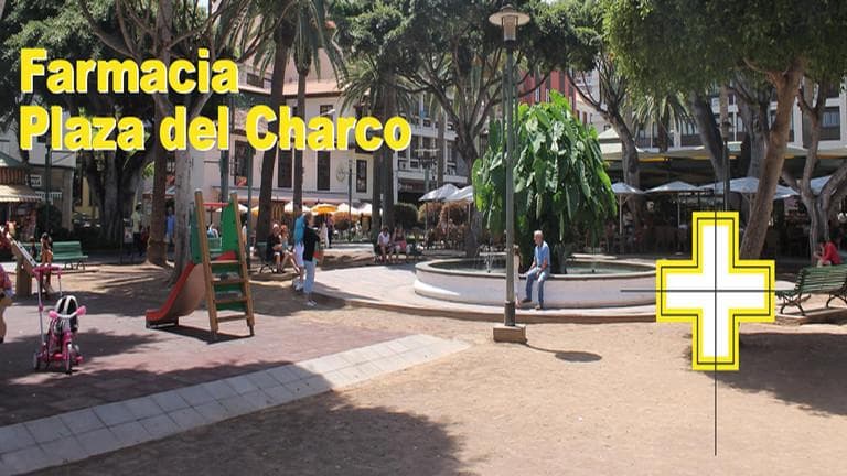 Farmacia Plaza Del Charco — foto 2